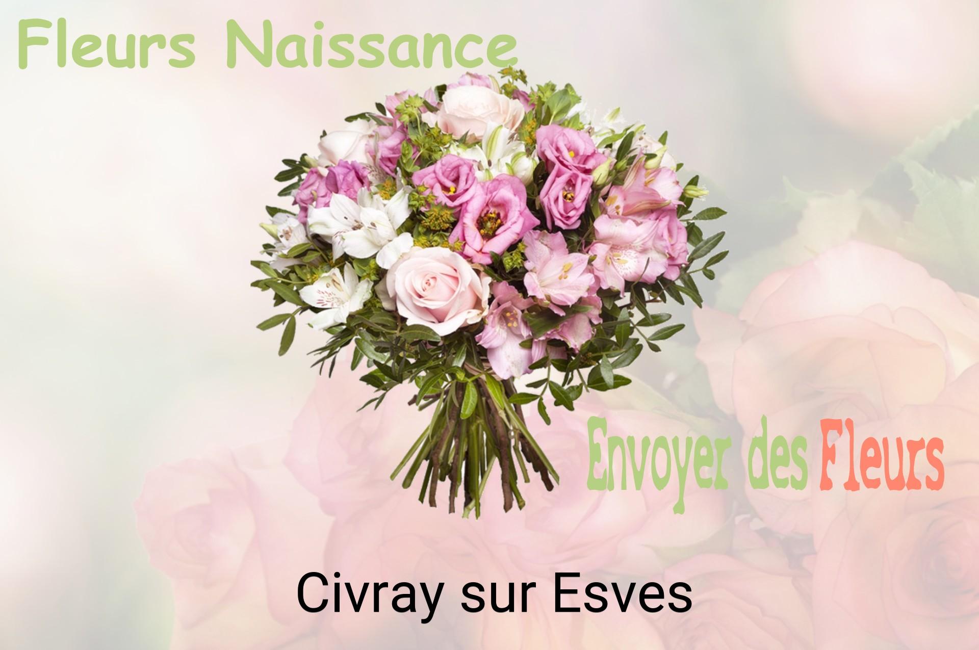 Bouquet de fleurs de naissance livré à Civray-sur-Esves